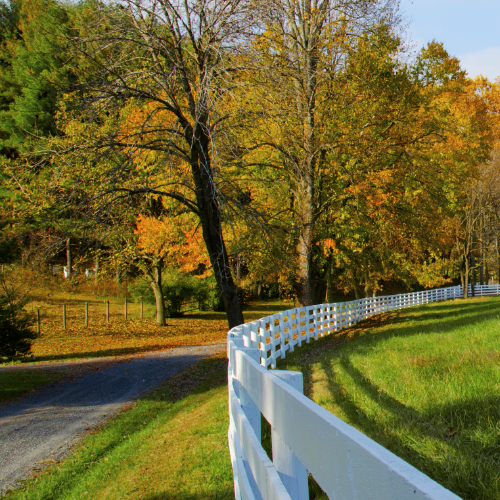 The Letter Your Loved Ones Can Treasure